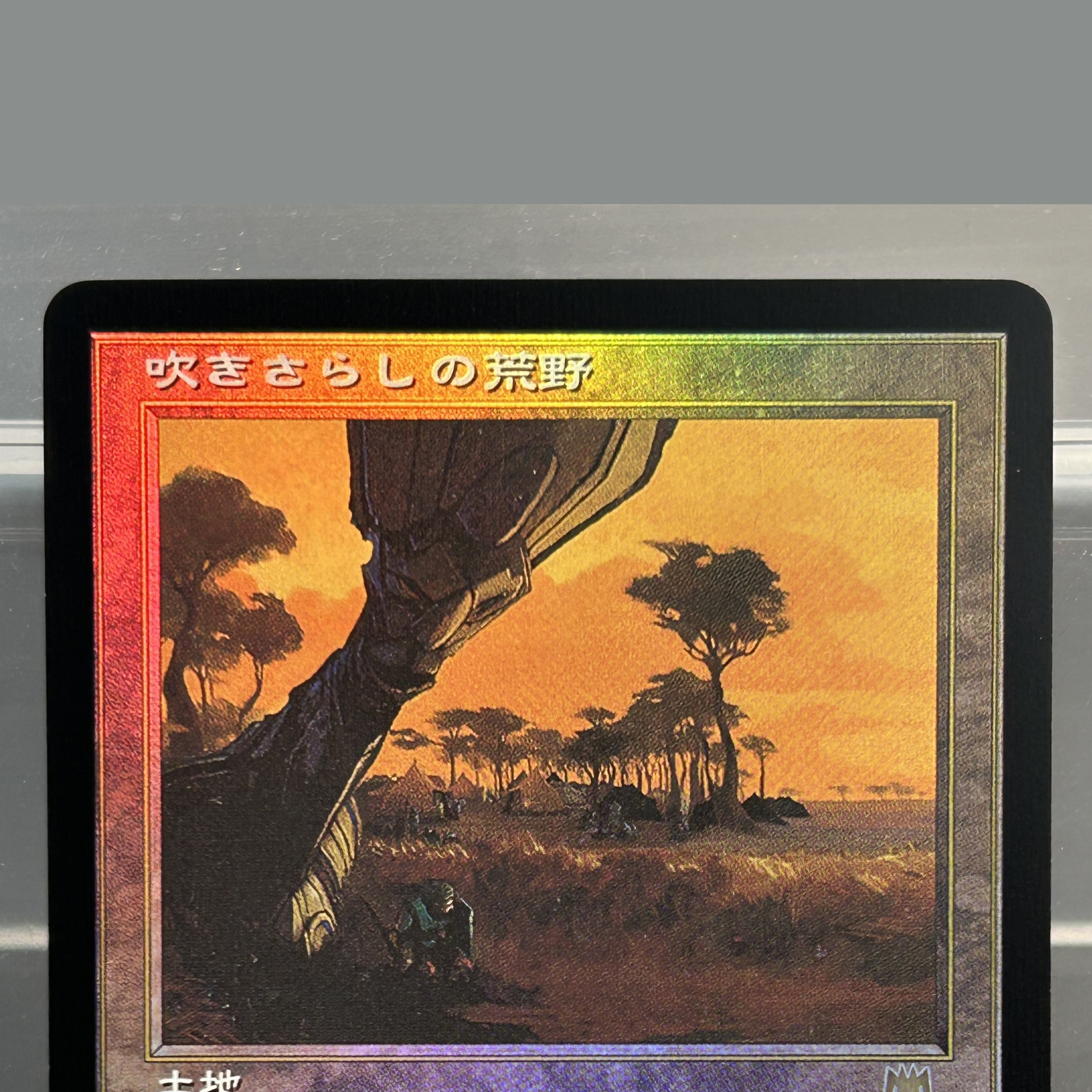 Board Game Zen - Karty TCG z folii JP: Bloodstained