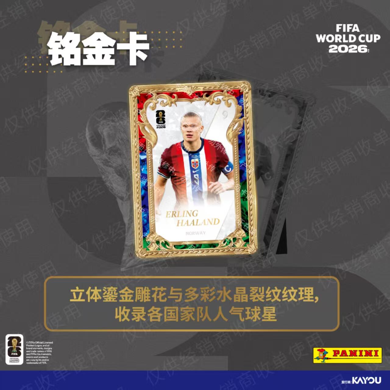 KAYOU Panini FIFA World Cup 20 – Board Game Football recenzja i cena