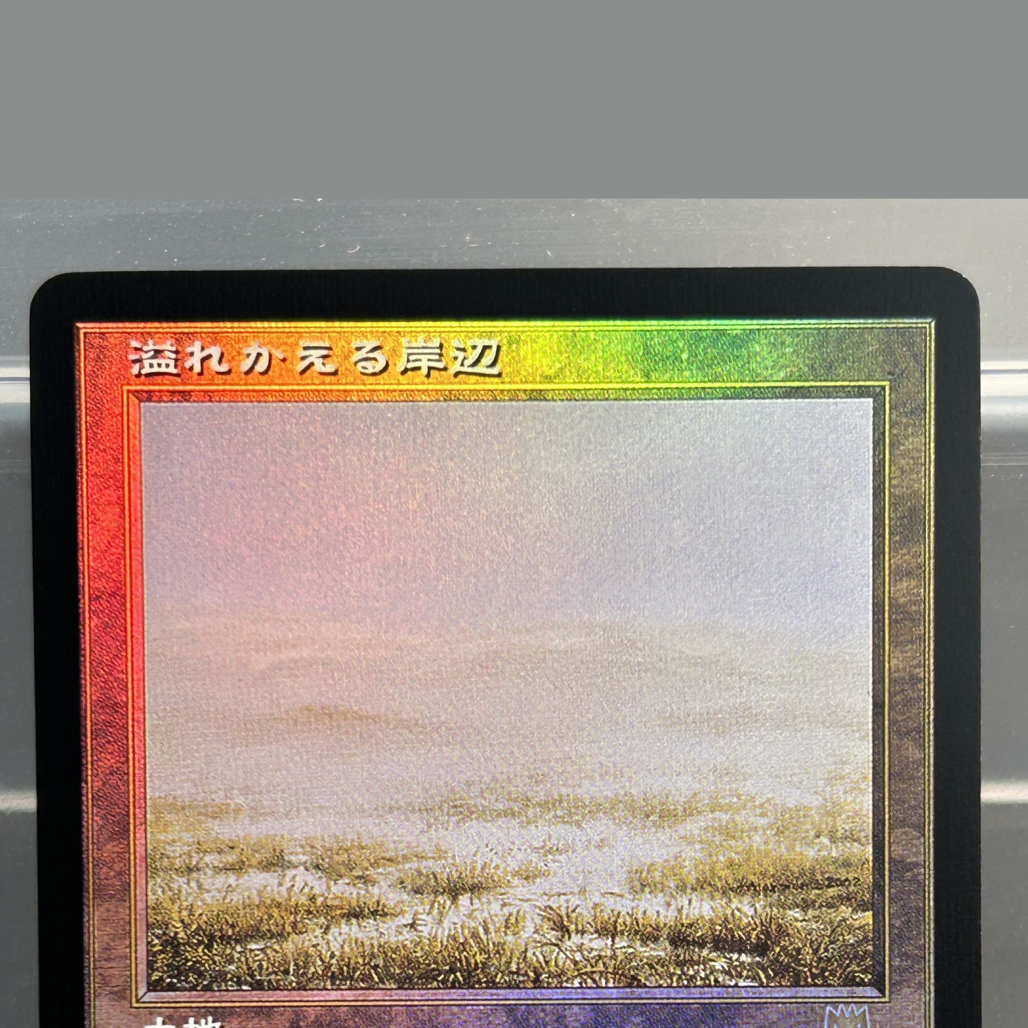 Karty TCG z folii JP: Bloodsta – Board Game Zen recenzja i cena